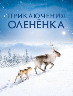 Приключения олененка (2018) – постер кино