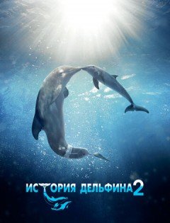 История дельфина 2 (2014) – постер кино