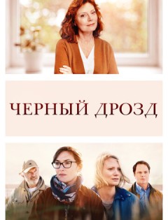 Чёрный дрозд (2019) – постер кино