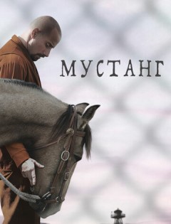 Мустанг (2017) – постер кино